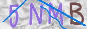 CAPTCHA 驗證圖片
