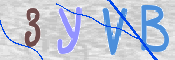 CAPTCHA 驗證圖片