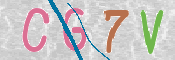 CAPTCHA 驗證圖片
