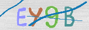 CAPTCHA 驗證圖片