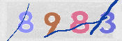 CAPTCHA 驗證圖片