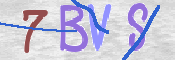 CAPTCHA 驗證圖片