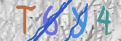 CAPTCHA 驗證圖片