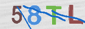 CAPTCHA 驗證圖片