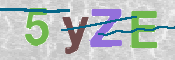 CAPTCHA 驗證圖片