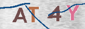 CAPTCHA 驗證圖片