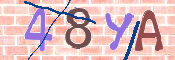 CAPTCHA 驗證圖片