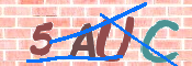 CAPTCHA 驗證圖片