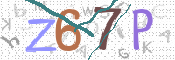 CAPTCHA 驗證圖片