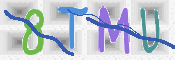 CAPTCHA 驗證圖片