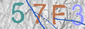 CAPTCHA 驗證圖片