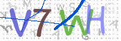 CAPTCHA 驗證圖片