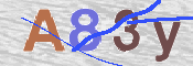 CAPTCHA 驗證圖片