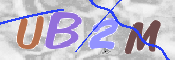 CAPTCHA 驗證圖片