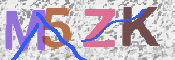 CAPTCHA 驗證圖片