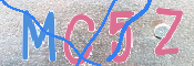 CAPTCHA 驗證圖片