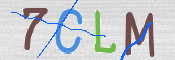 CAPTCHA 驗證圖片