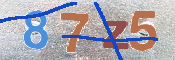 CAPTCHA 驗證圖片