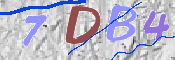 CAPTCHA 驗證圖片