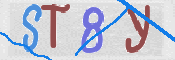 CAPTCHA 驗證圖片