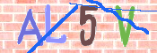 CAPTCHA 驗證圖片