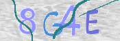 CAPTCHA 驗證圖片