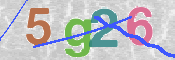 CAPTCHA 驗證圖片
