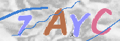 CAPTCHA 驗證圖片