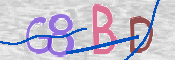 CAPTCHA 驗證圖片
