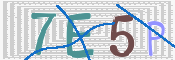CAPTCHA 驗證圖片