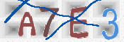 CAPTCHA 驗證圖片
