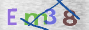 CAPTCHA 驗證圖片