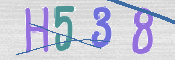 CAPTCHA 驗證圖片