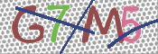 CAPTCHA 驗證圖片