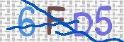 CAPTCHA 驗證圖片