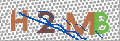 CAPTCHA 驗證圖片