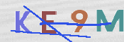 CAPTCHA 驗證圖片