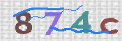 CAPTCHA 驗證圖片