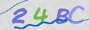 CAPTCHA 驗證圖片