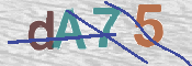 CAPTCHA 驗證圖片