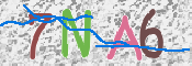 CAPTCHA 驗證圖片