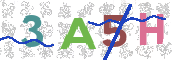 CAPTCHA 驗證圖片
