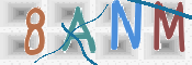 CAPTCHA 驗證圖片