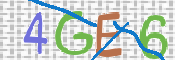 CAPTCHA 驗證圖片