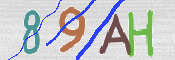 CAPTCHA 驗證圖片