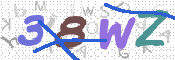 CAPTCHA 驗證圖片