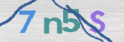 CAPTCHA 驗證圖片