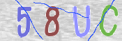 CAPTCHA 驗證圖片