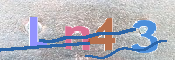CAPTCHA 驗證圖片