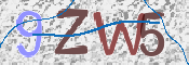 CAPTCHA 驗證圖片